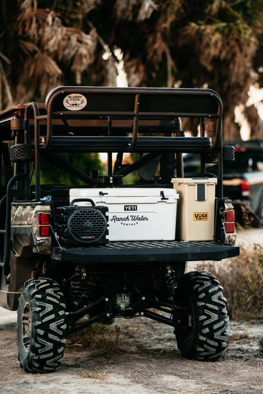 multimedia collage image