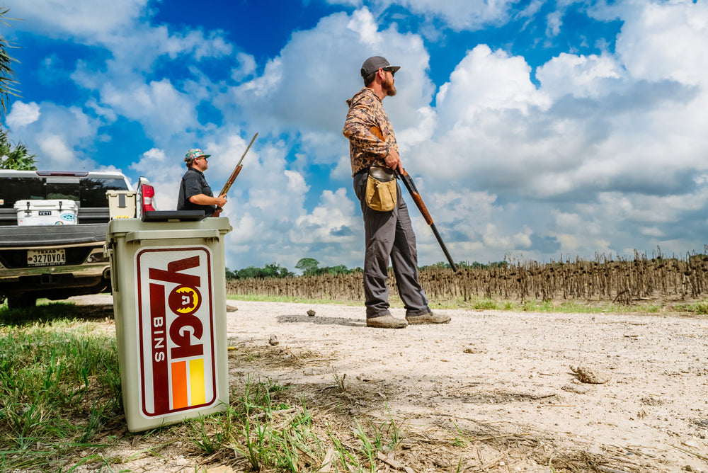 multimedia collage image